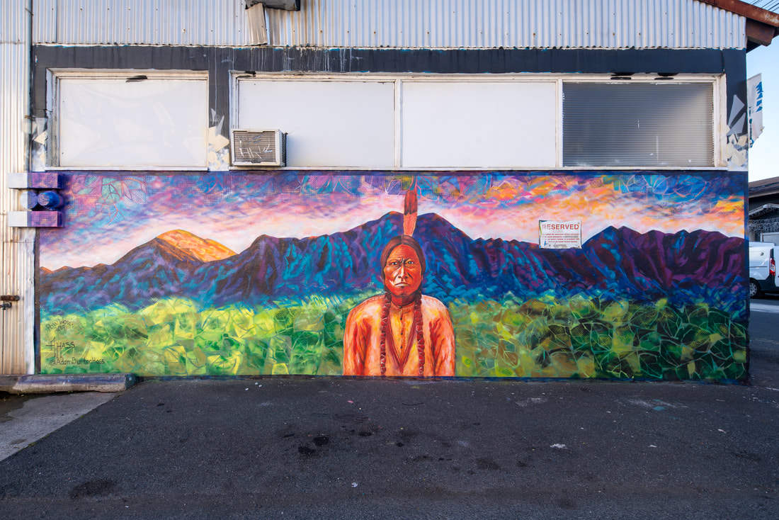Mural — Native American portrait with vibrant mountain landscape